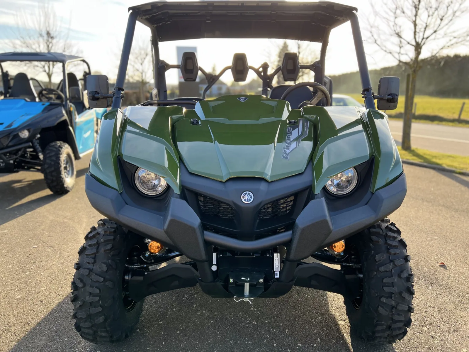 Yamaha Viking EPS 700 EPS - Photo 1