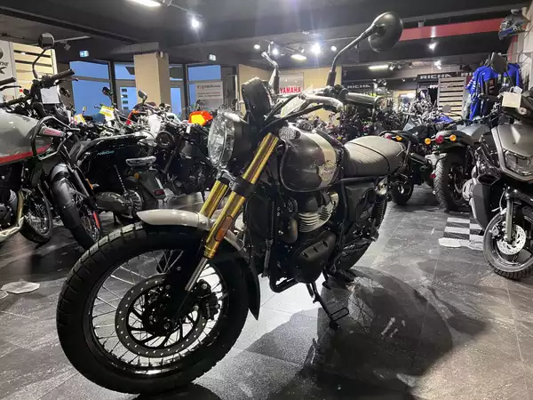 Royal Enfield Bear 650 Golden Shadow - Photo 2