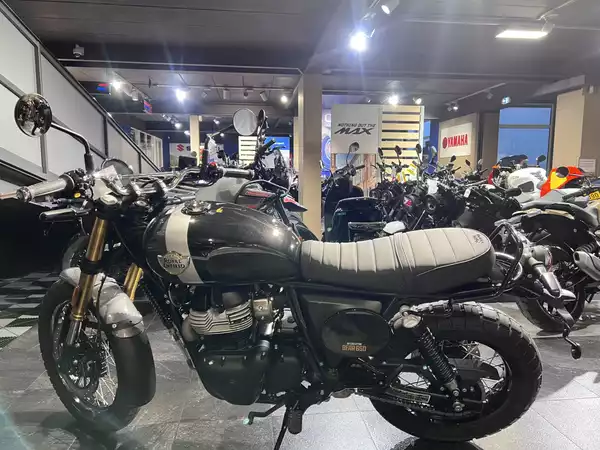Royal Enfield Bear 650 Golden Shadow - Photo 3