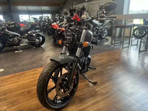 Indian Chief Dark Horse Quartz Grey - Photo 2