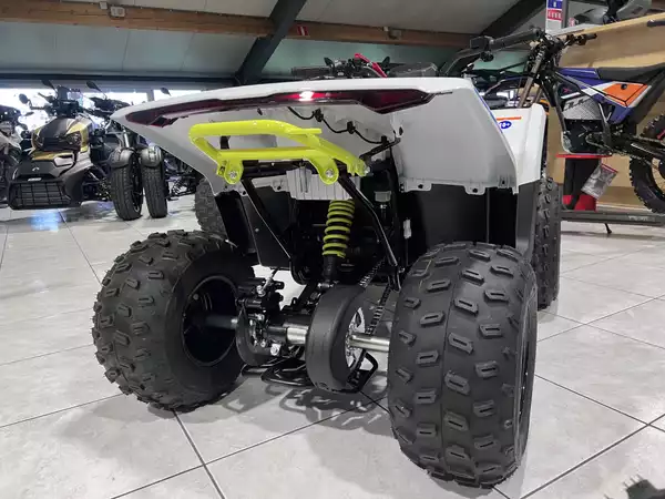 CF Moto CForce EV 110 - Photo 2