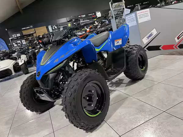 CF Moto CFORCE 110 - Photo 2
