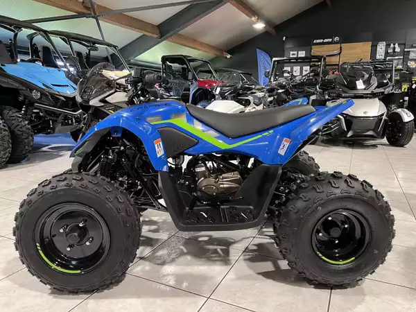 CF Moto CFORCE 110 - Photo 3