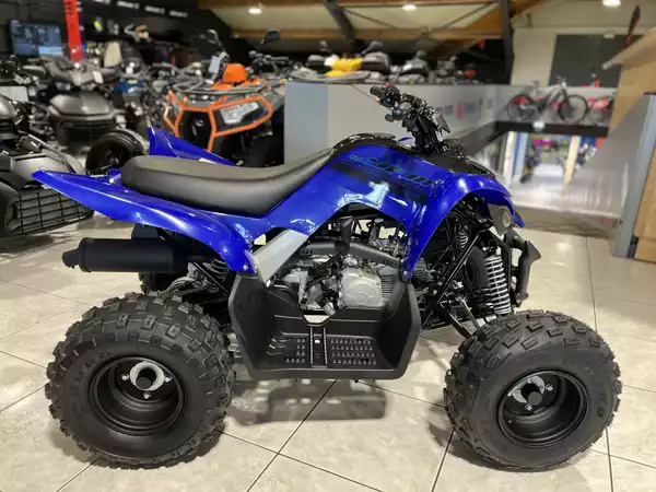 Yamaha YFM 110 R - Photo 1