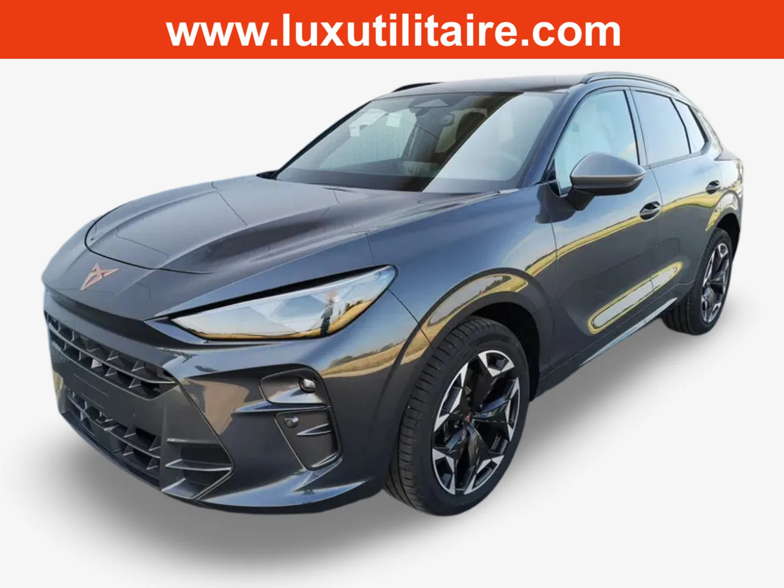 Cupra Terramar 2.0 TSI DSG 265 VZ 4Drive - Photo 1