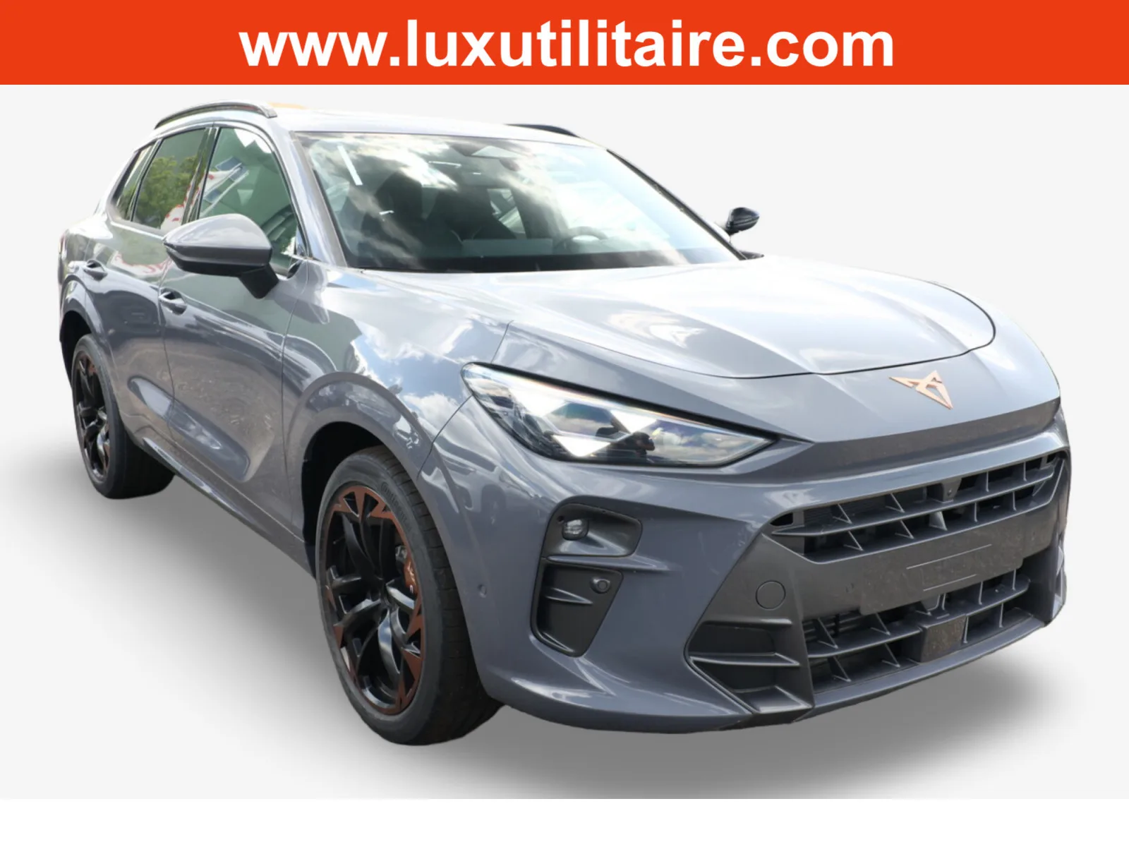 Cupra Terramar 2.0 TSI DSG 265 VZ 4Drive Akebono - Photo 1