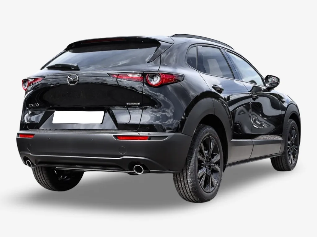 Mazda CX-30 2.5 E-Skyactiv  G 140 Homura Plus - Photo 1