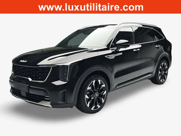 Kia Sorento 2.2 CRDI 193 DCT8 Platinum AWD - Photo 2