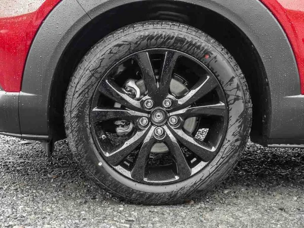 Mazda CX-30 2.5 E-Skyactiv G 140 Homura - Photo 2