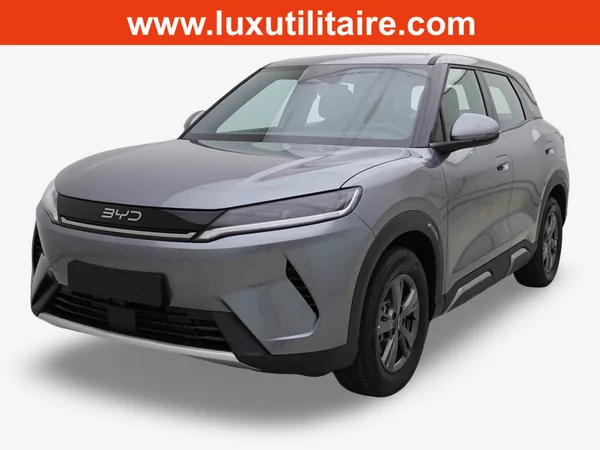 BYD Atto 2 1.5 PHEV 166 Automatique Active - Photo 1