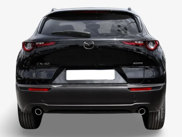 Mazda CX-30 2.5 E-Skyactiv  G 140 Homura Plus - Photo 3