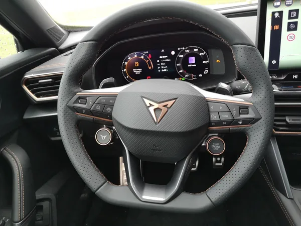 Cupra Formentor 2.0 TSi DSG 333  4x4 - Photo 3