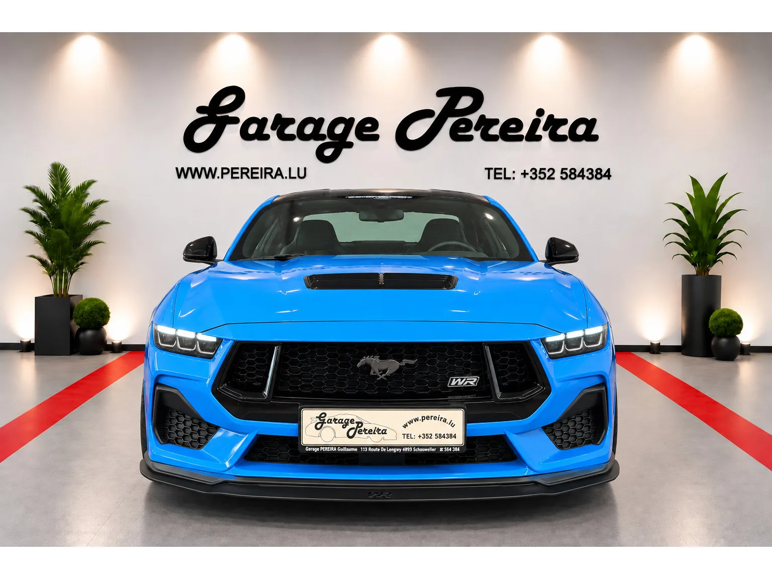 Ford Mustang 5.0 V8 GT LIMITED EDITION WR N°006 GARANTIE FORD 04/2030 - Photo 1