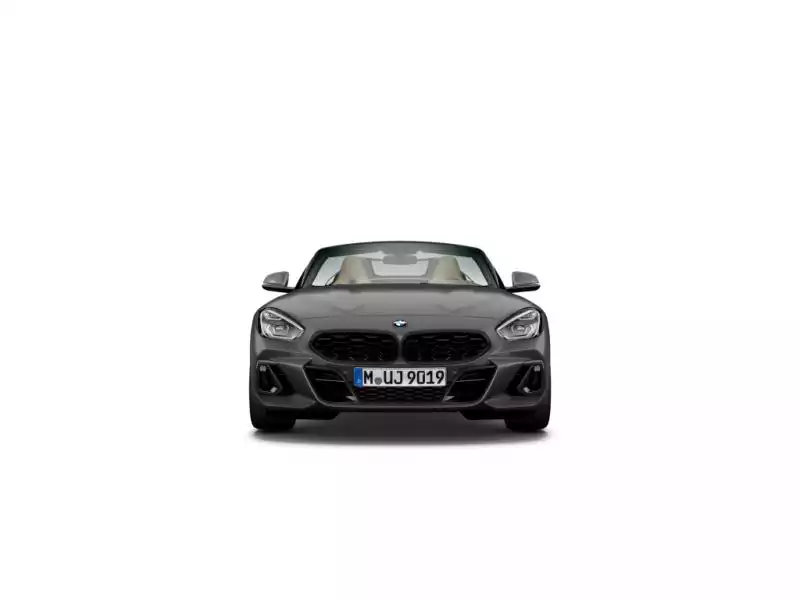 BMW Z4 Z4 sDrive20i Kit M Sport - Photo 1