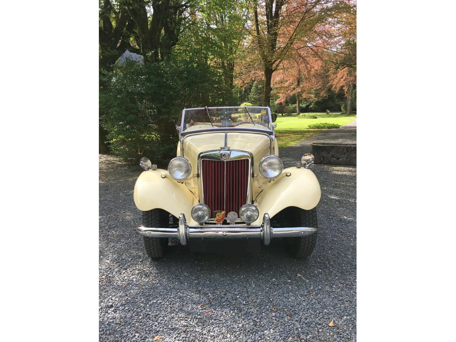 MG Midget TD - Photo 1