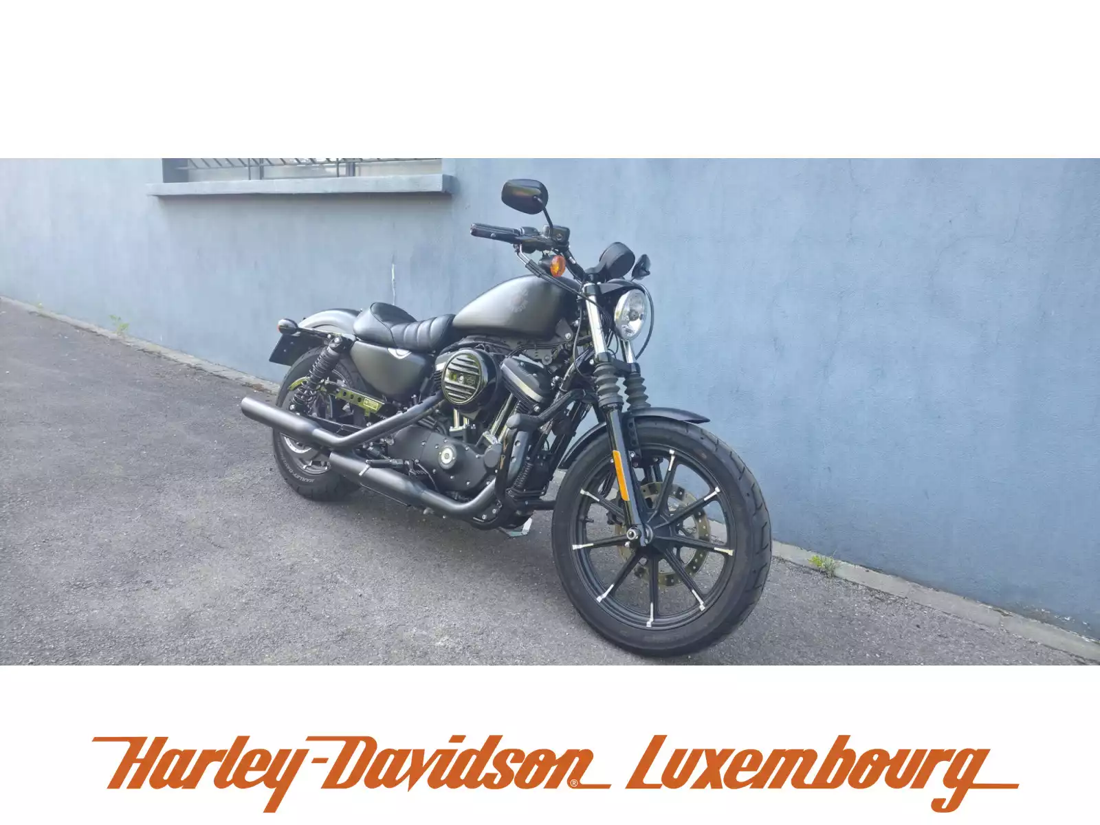 Harley-Davidson Sportster 883 - Photo 1