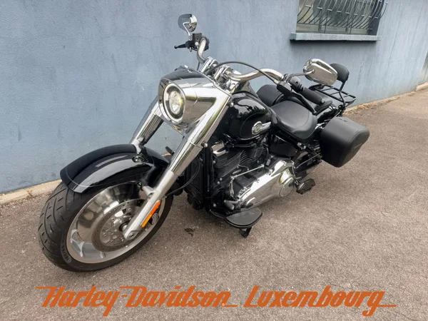 Harley-Davidson Fat Boy - Photo 3