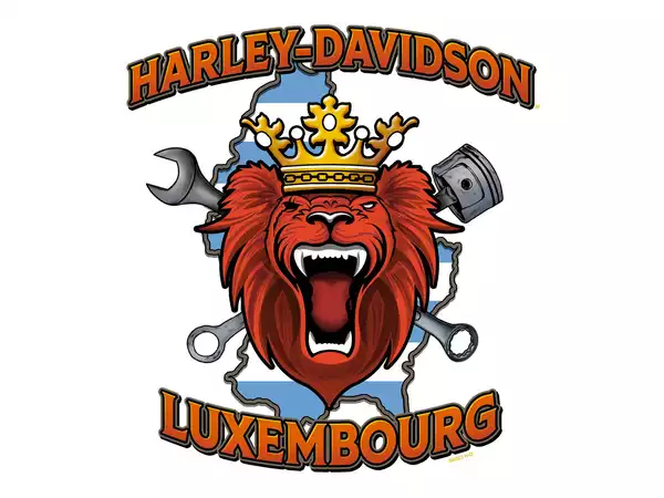 Harley-Davidson LiveWire - Photo 3