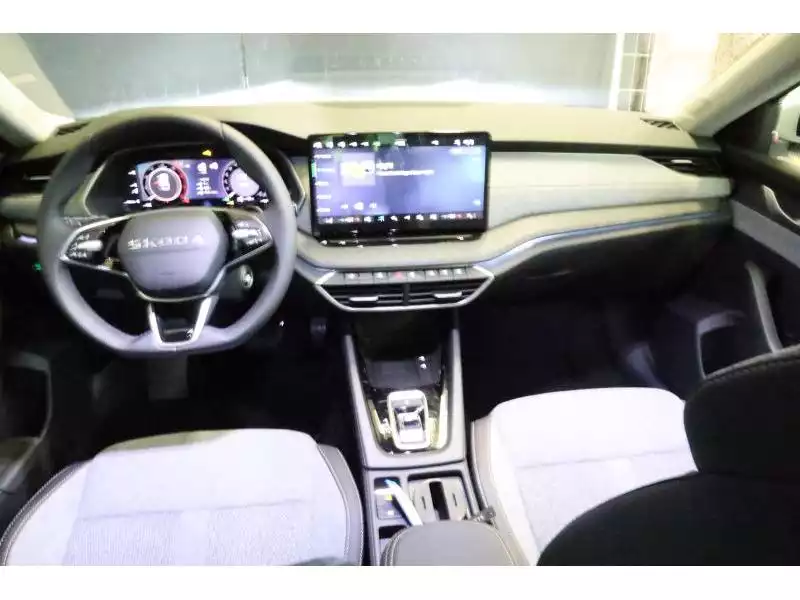 Skoda Octavia Selection - Photo 1