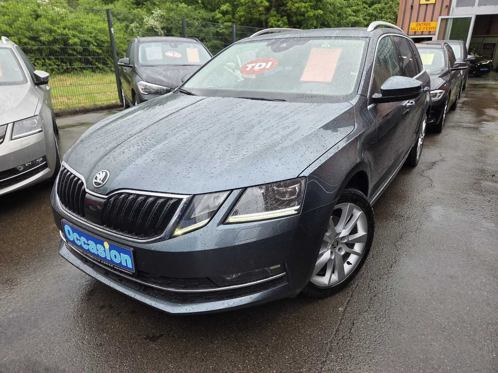 Skoda Octavia BREAK TDI DSG - Photo 1